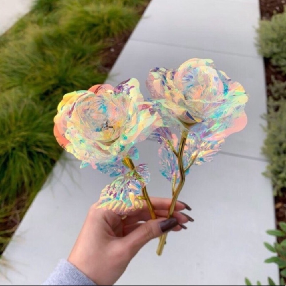 ALL THREE Galaxy Roses